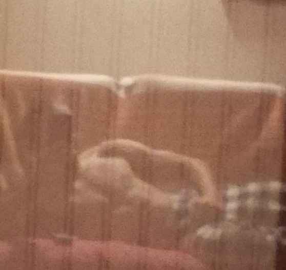 Profil de Gexan, 20 ans, Escort Trans Monaco à Socourt