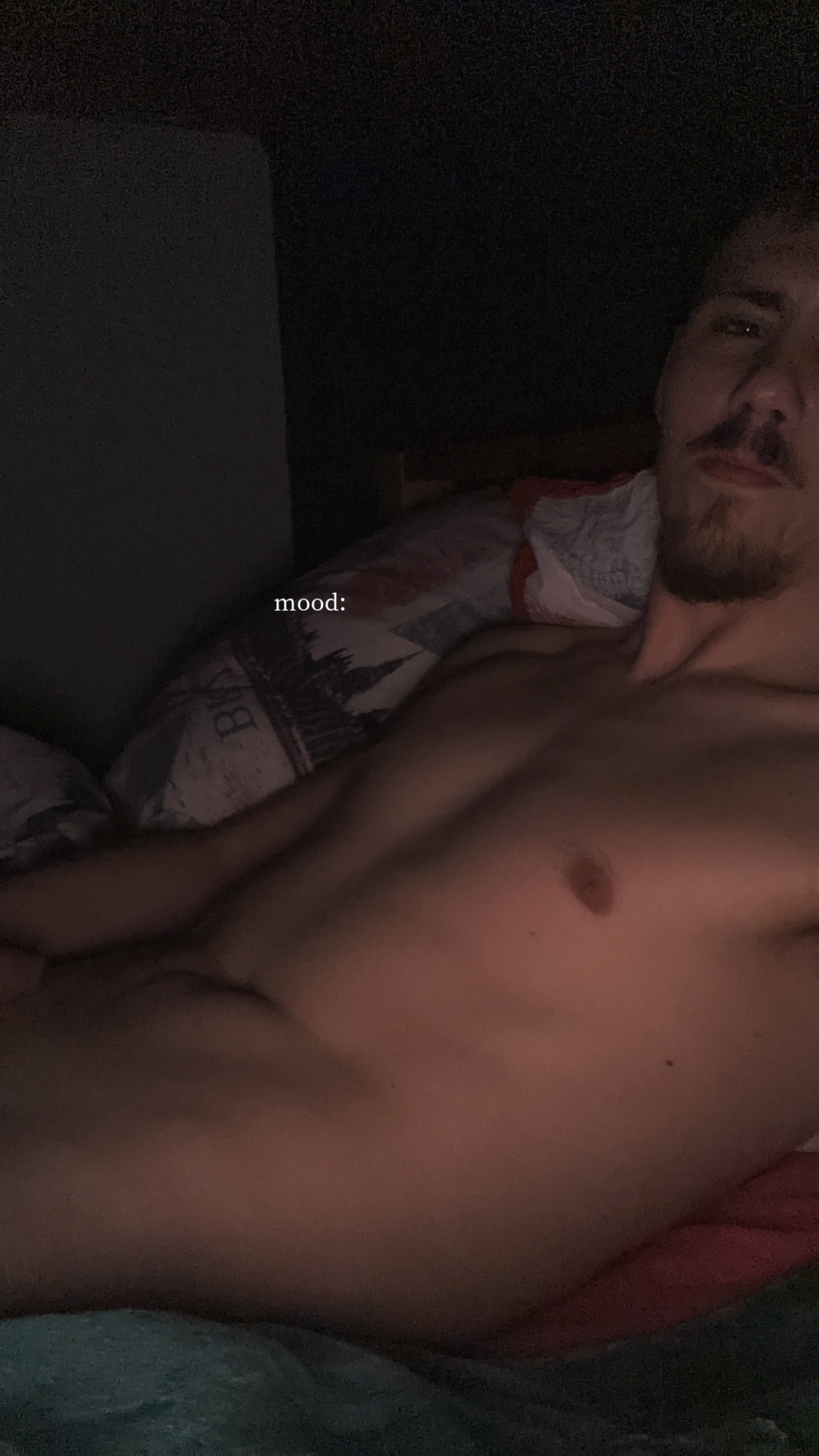 Profil de Mahmoud, 24 ans, Escort Trans Monaco à Scaër